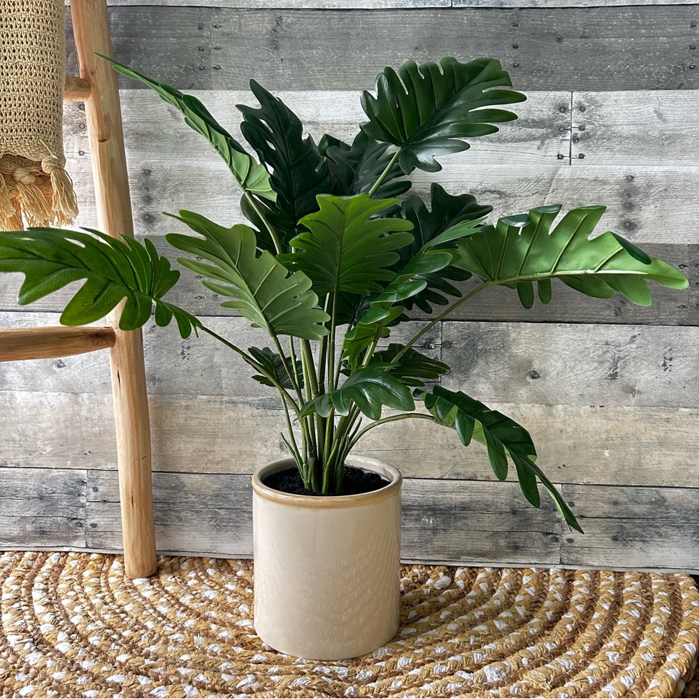 🌴Threshold Tropical Faux Philodendron in Ceramic Cream Pot | Target